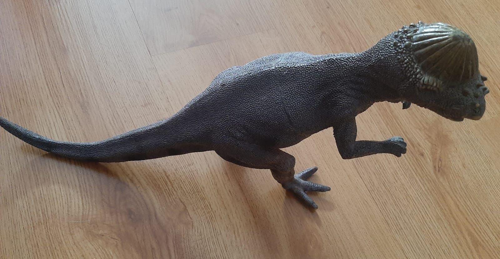 Dinozaur duży kolekcjonerski