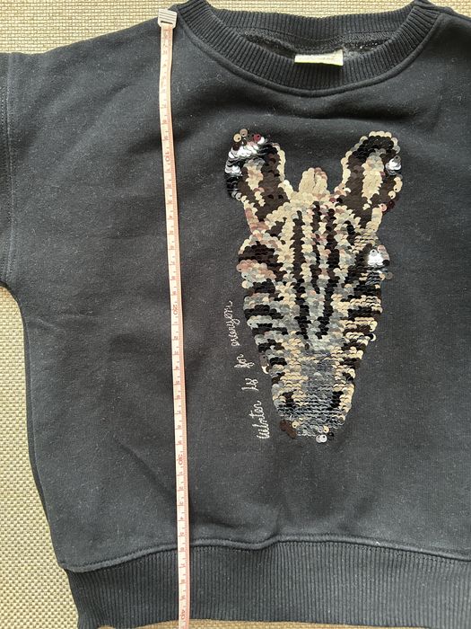 Світшот Zara утеплений з картинкою перевернем