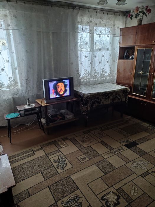 Продам дом в с.Палиево,