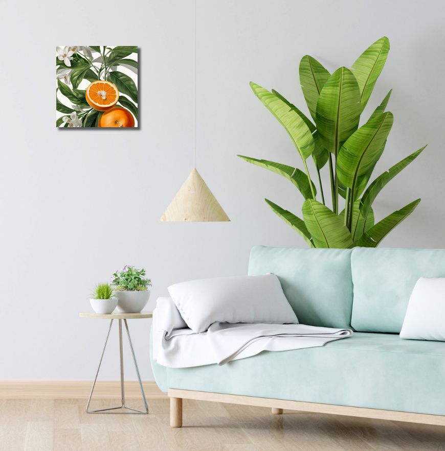Obraz 30x30cm Dojrzałość Pomarańczy