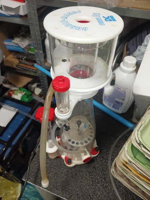 Bubble magus a5 curve