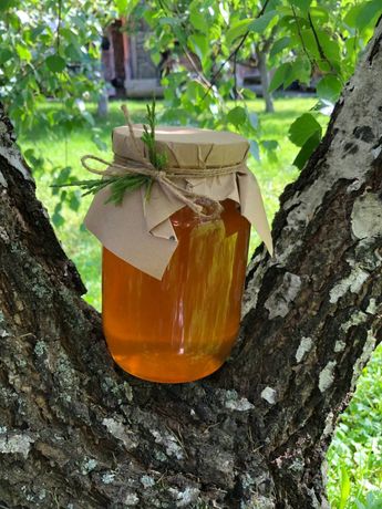 Карпатський свіжовідкачаний мед