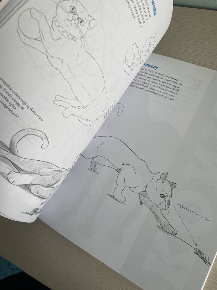 Książka kurs rysowania zwierząt