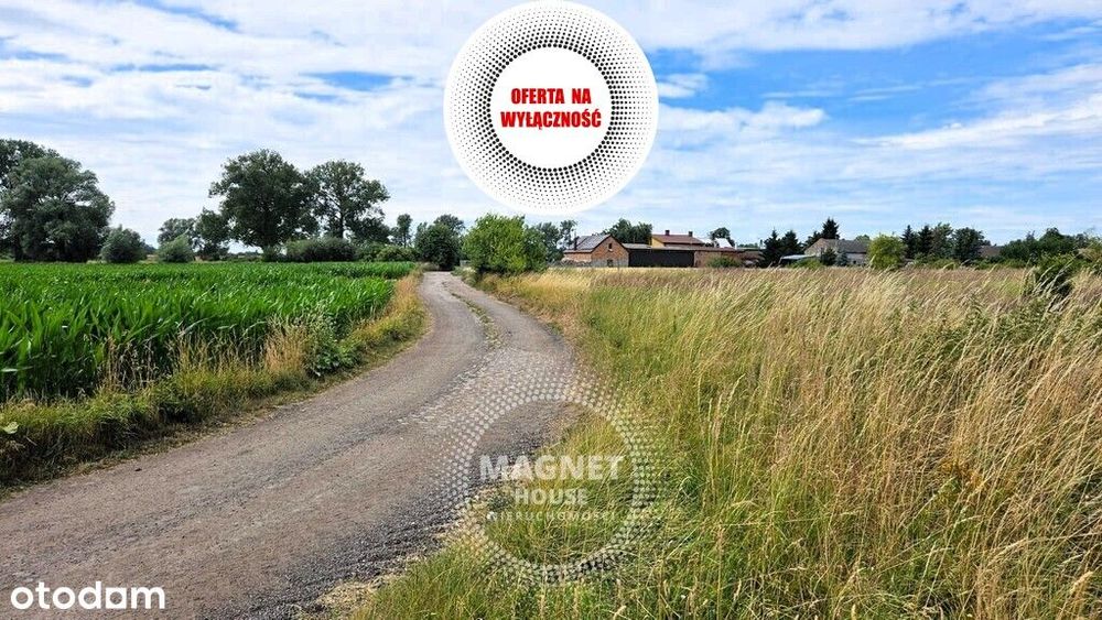 Działki z wydanymi WZ 3km od Pyrzyc (Rzepnowo)