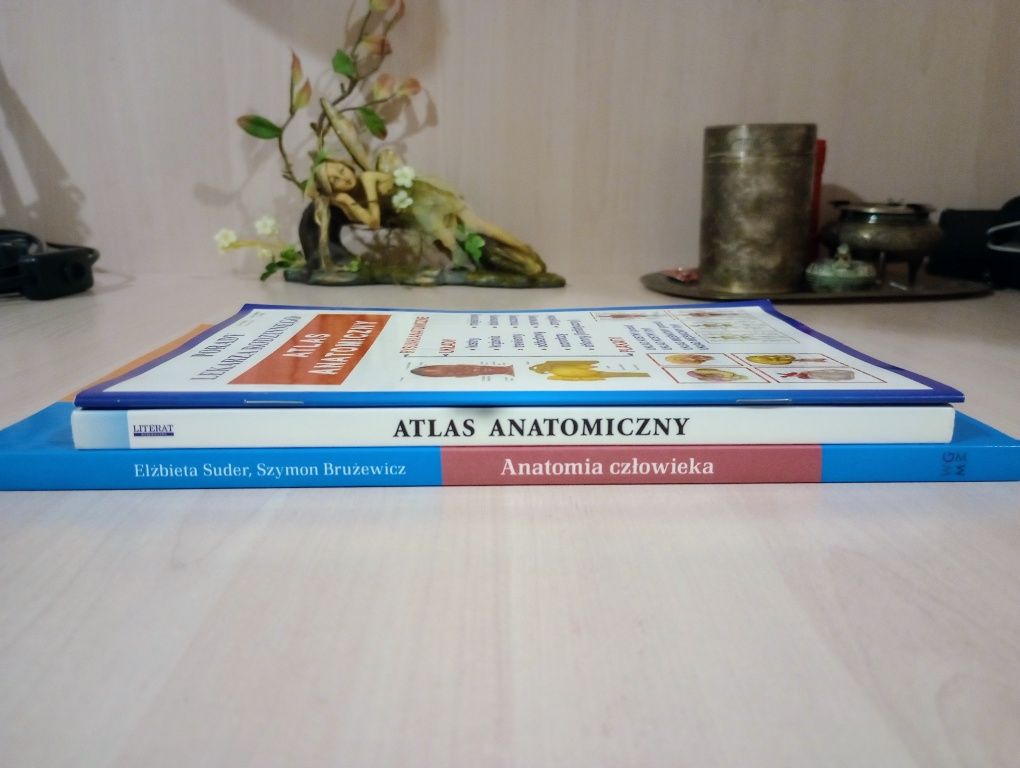 Анатомия учебник и атласы (на польском)
