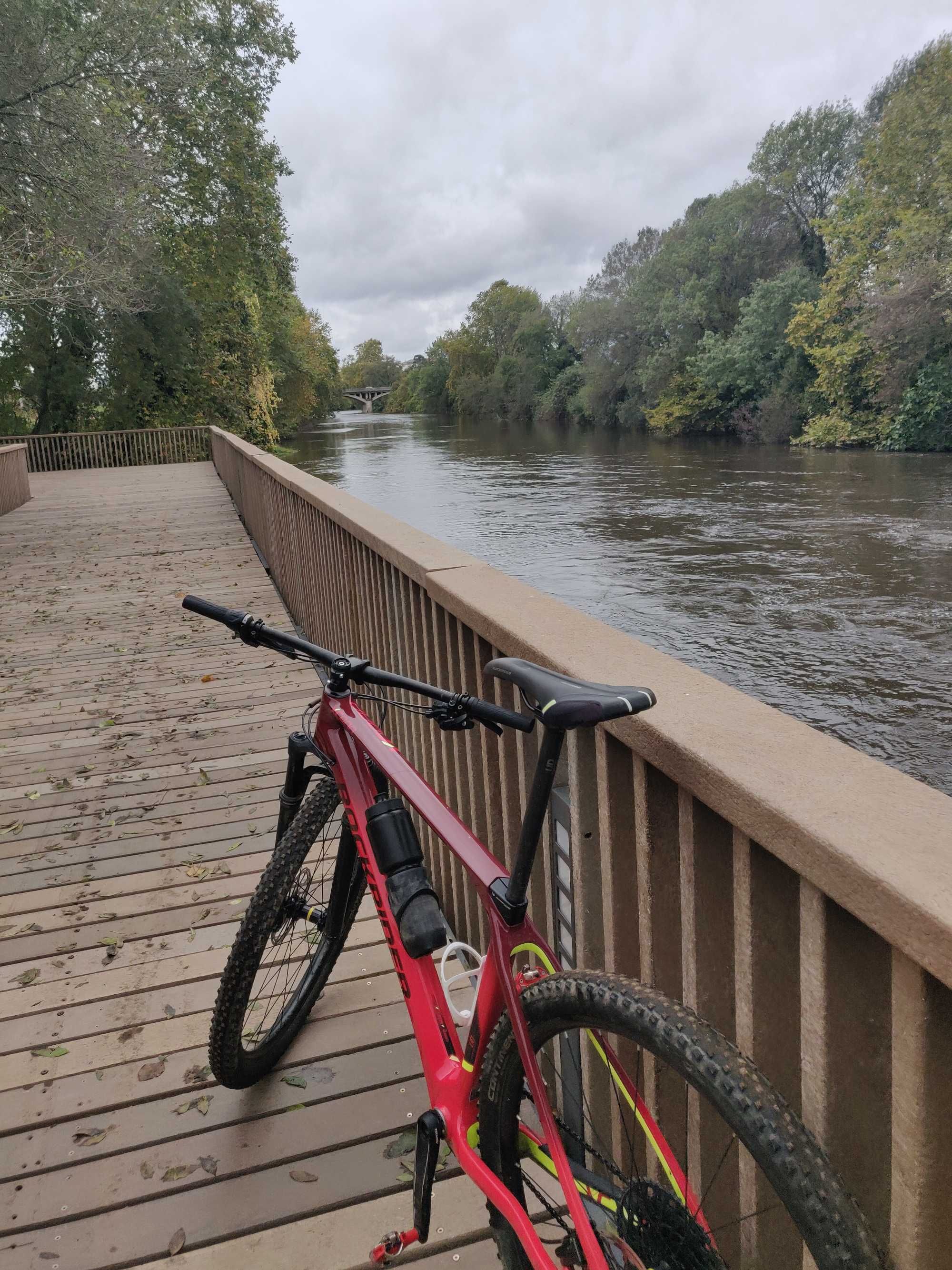 Bicicleta Rockrider 29" carbono L BTT