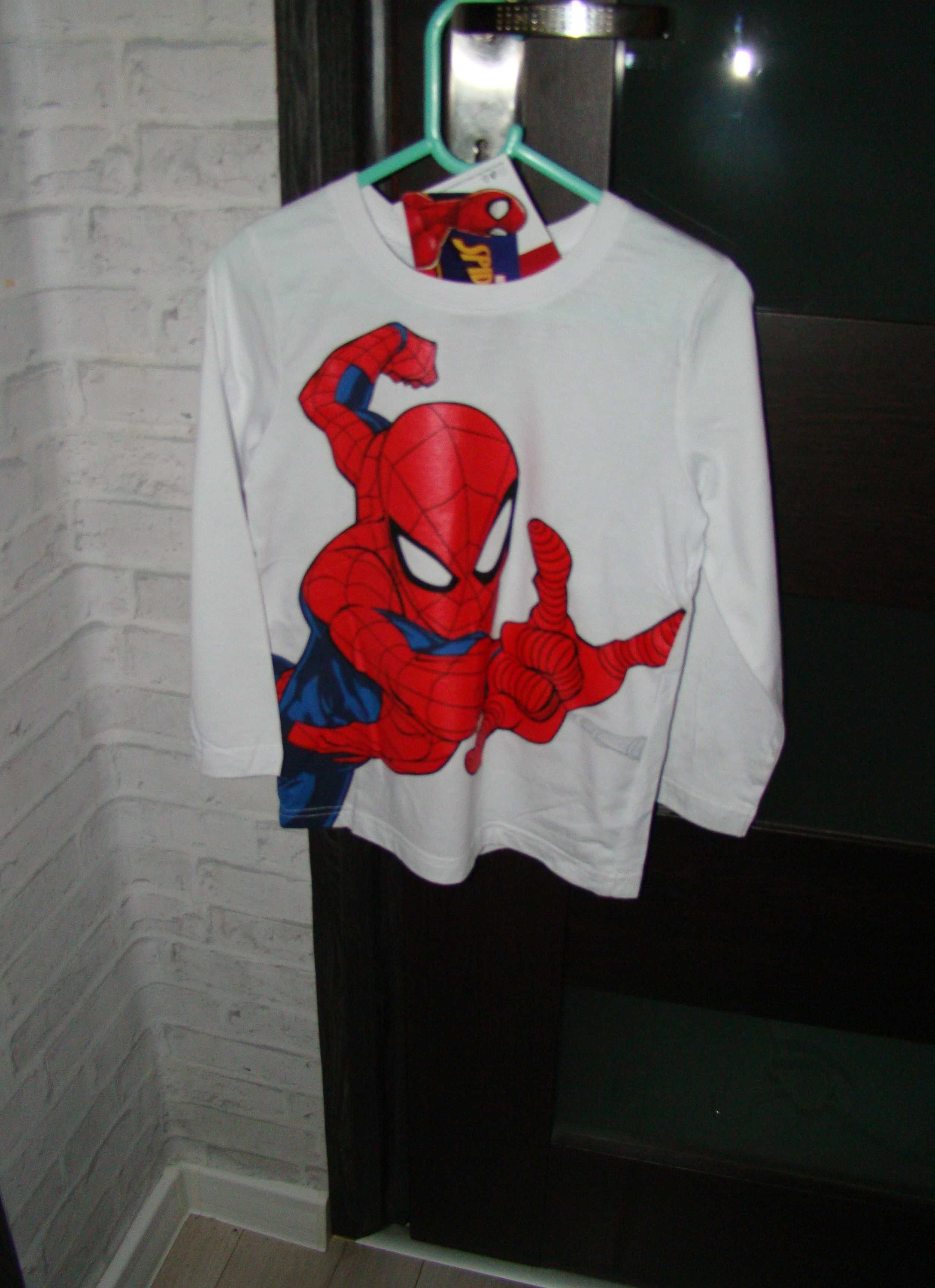 Spiderman bluza dla chłopca roz 116