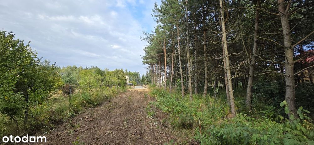 Ostatnie 2 Działki budowlane w otoczeniu lasu