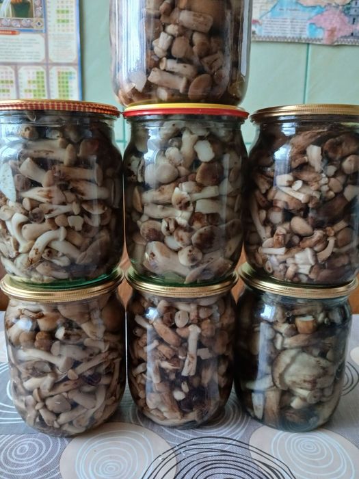 Гриби опеньки мариновані