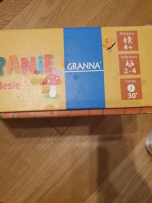 Grzybobranie w zaczarowanym lesie