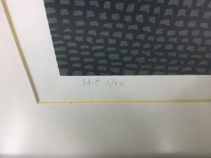 Quadro com Serigrafia de Pedro Buisel - Graça