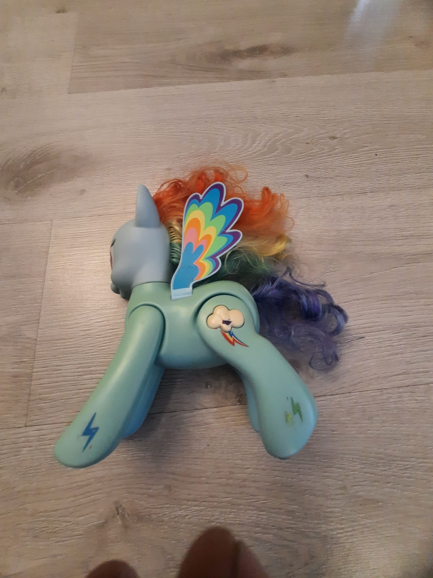 Kucyk Rainbow Dash, interaktywna