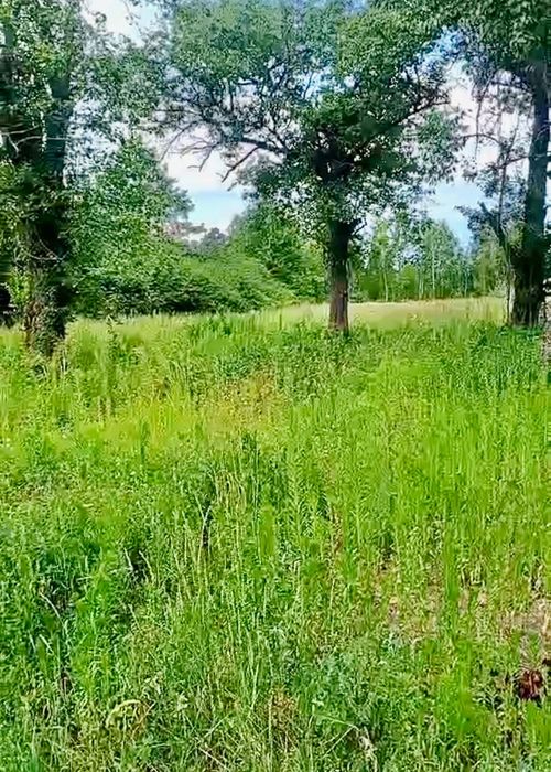 Продаж ділянки с документами на будинок в с.Жукин.