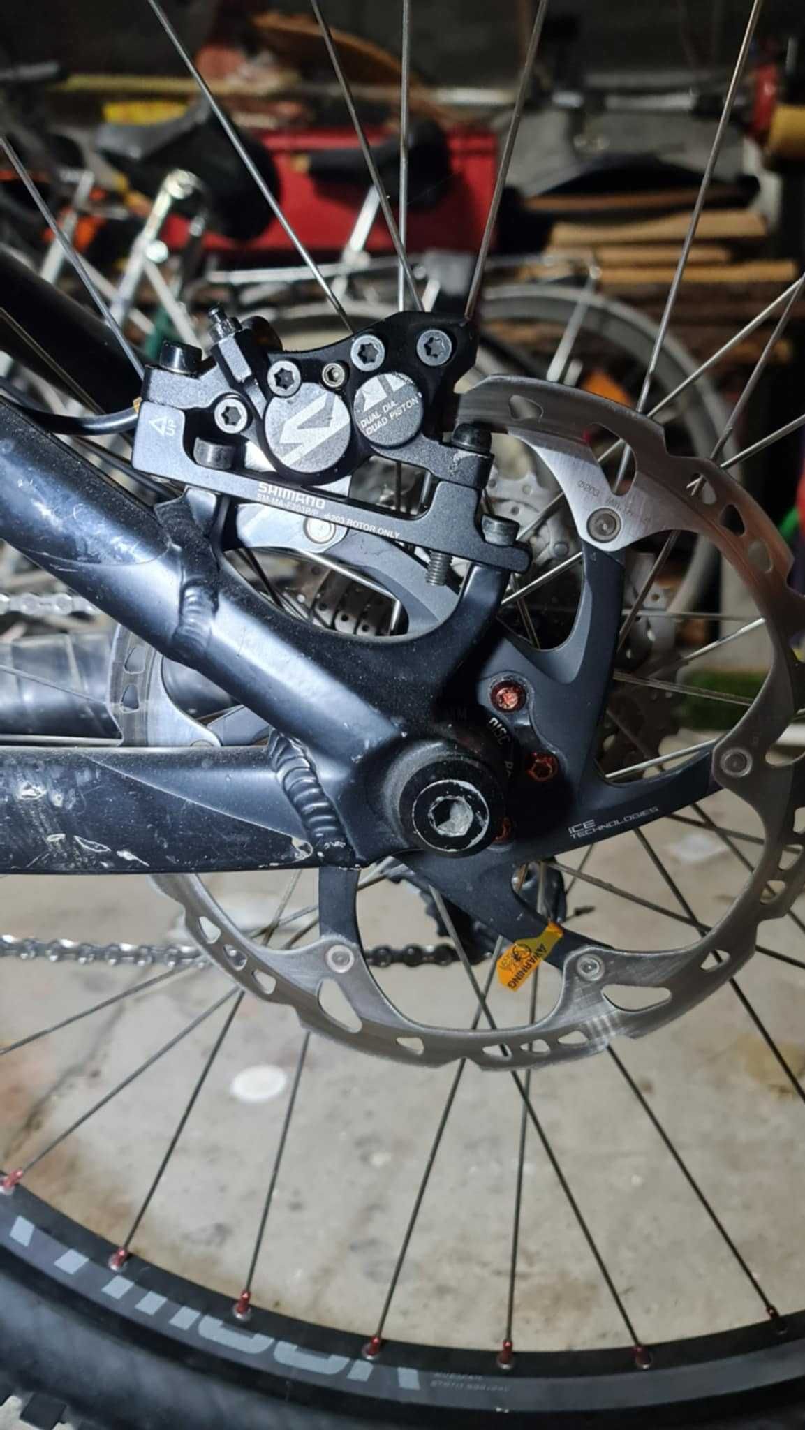 Dartmoor Hornet 2021 custom M