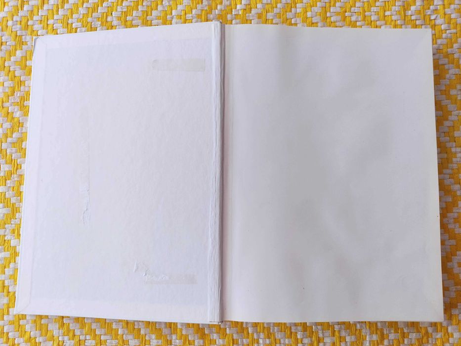 Curso de OBSTETRÍCIA 

Mário Luiz Mendes