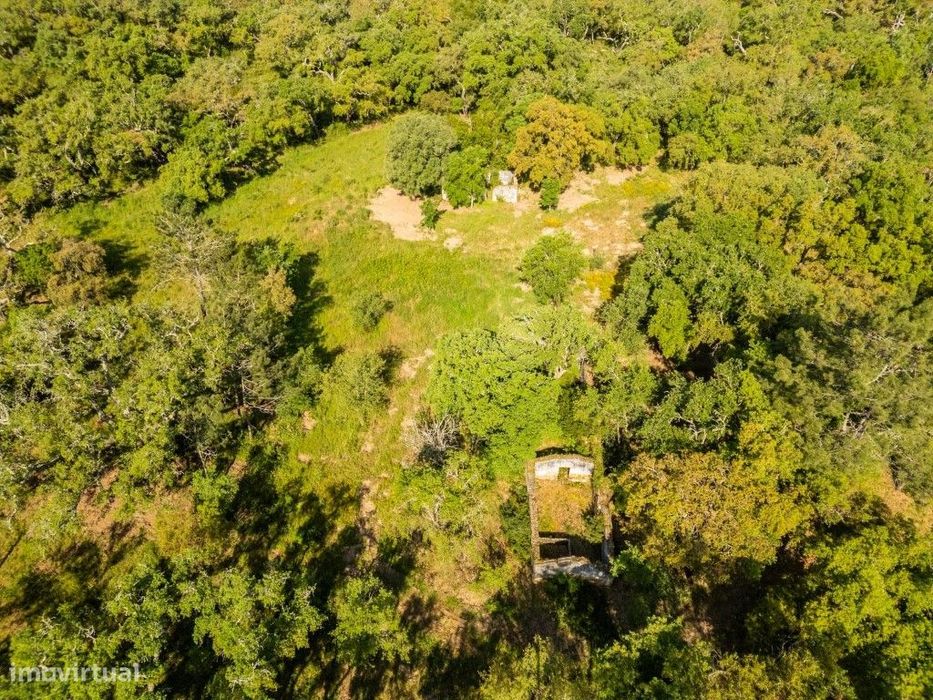 Terreno 4,25 Hectares c/ Ruina