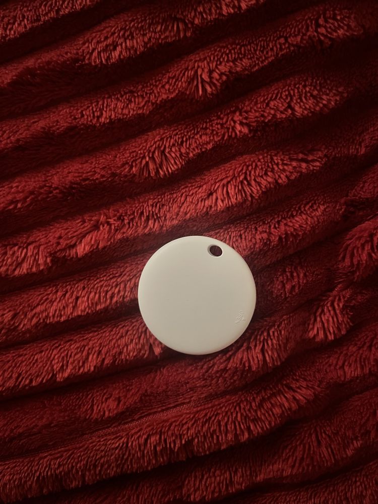 Silver monkey tag