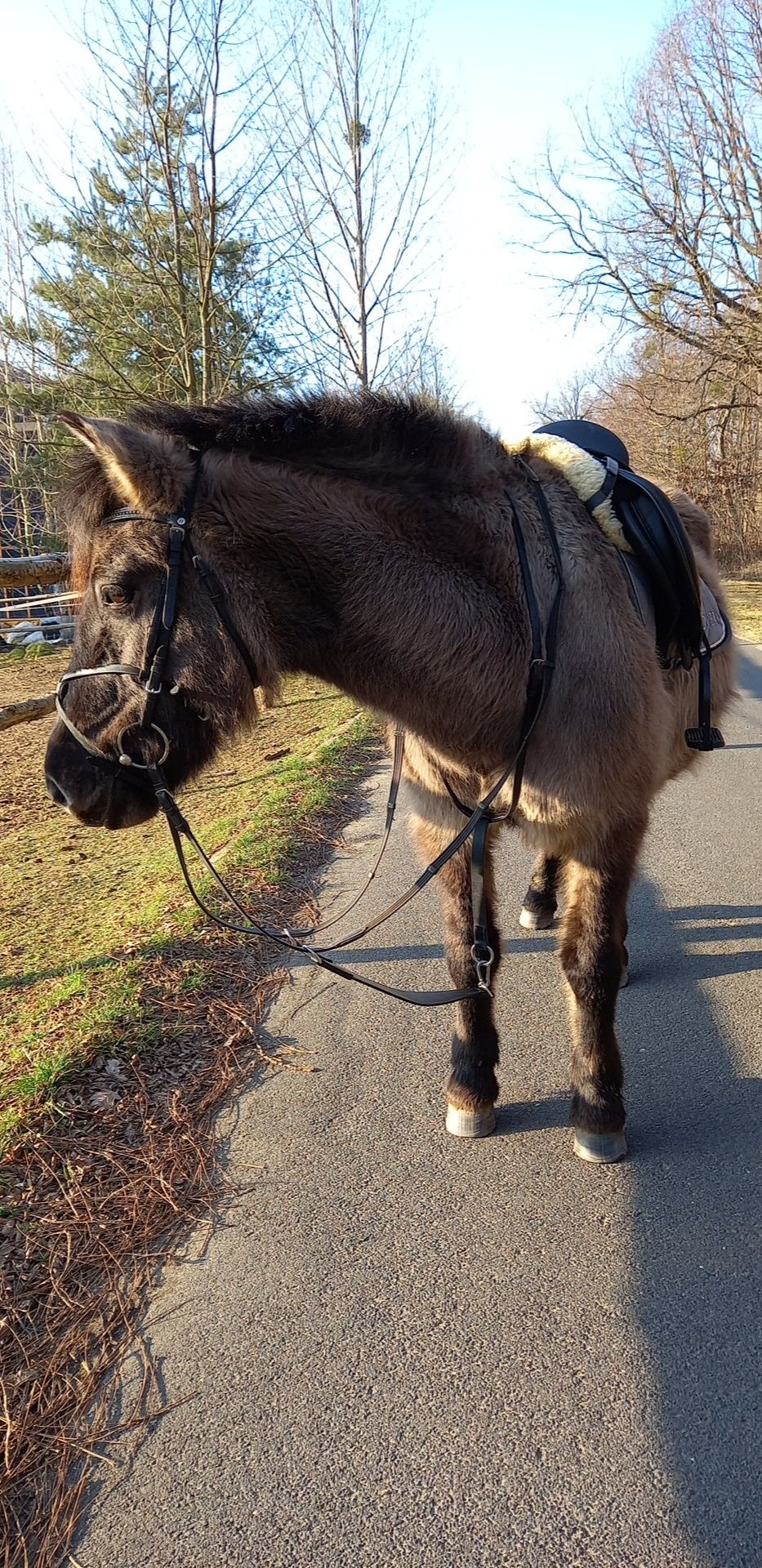 Wytok z fartuchem firmy HKM "Mia" rozm. PONY