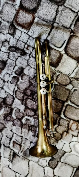 Духова труба ленінградська