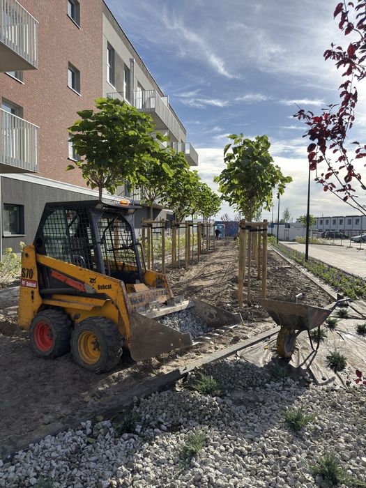 Uslugi Miniładowarką, miniładowarka, wykopy, wywóz ziemi, prace ziemne