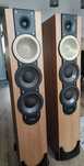 Paradigm Monitor 9v6