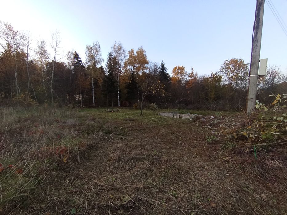 косіня трави і бур'яну