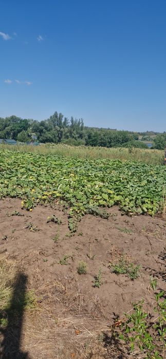 Дом, хата, дім, садиба, Христофорово