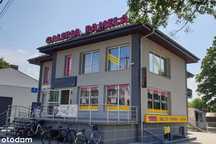 Lokal do wynajęcia, GALERIA PAMELA OZIMEK