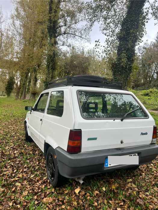 Fiat Panda young