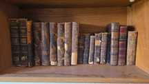 Coleção de livros antigos em francês e português – séculos XIX‑XX