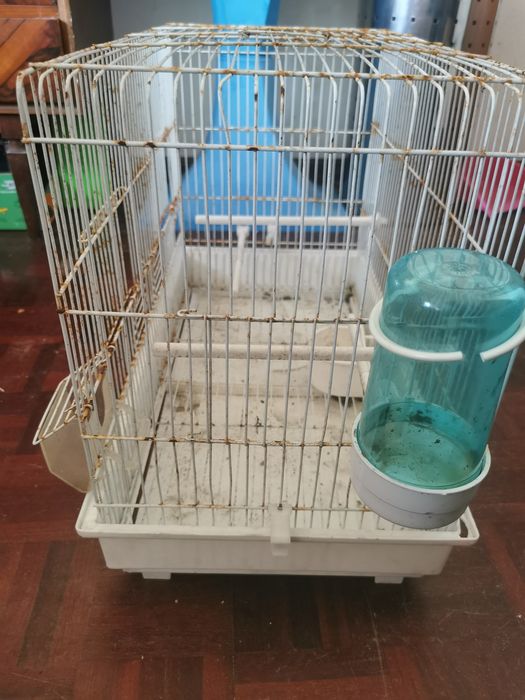 Gaiola pássaros pequenos com acessórios