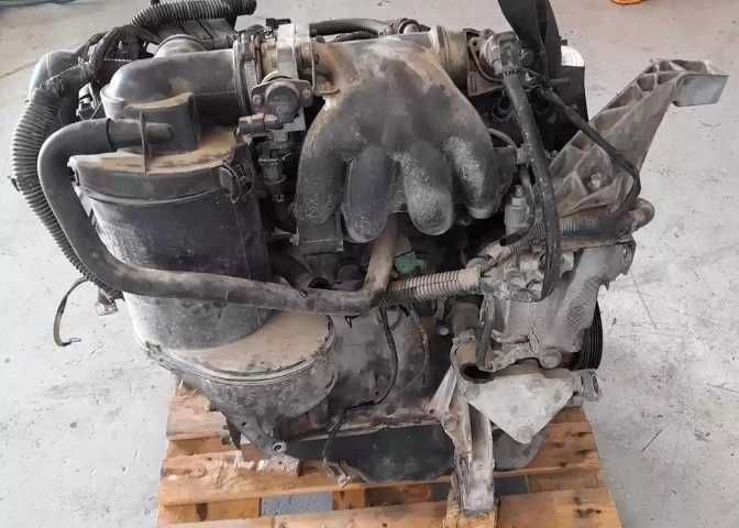 Assador de castanhas eletrônico em 5 a 6 minutos protas para comer,