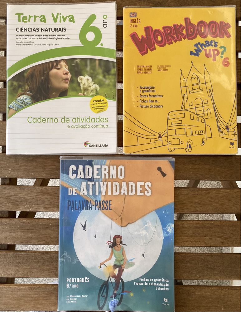 Cadernos de atividades 6° ano