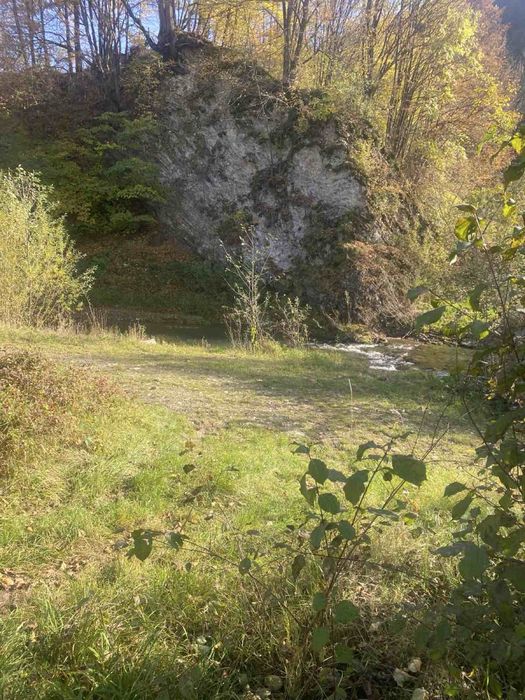 Будинок, гори, річка