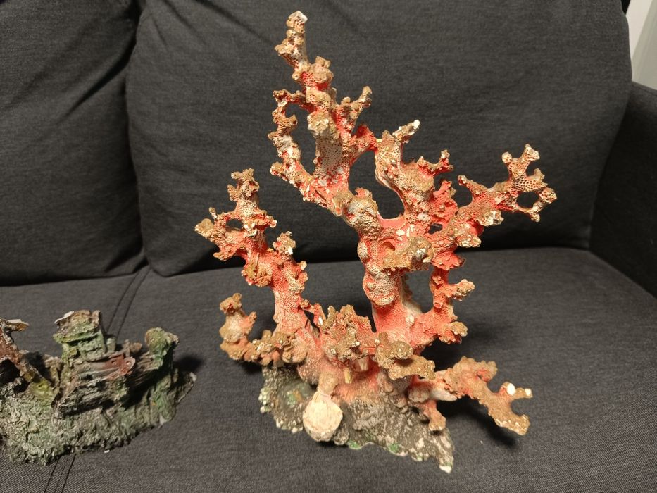 Decoração aquário variada