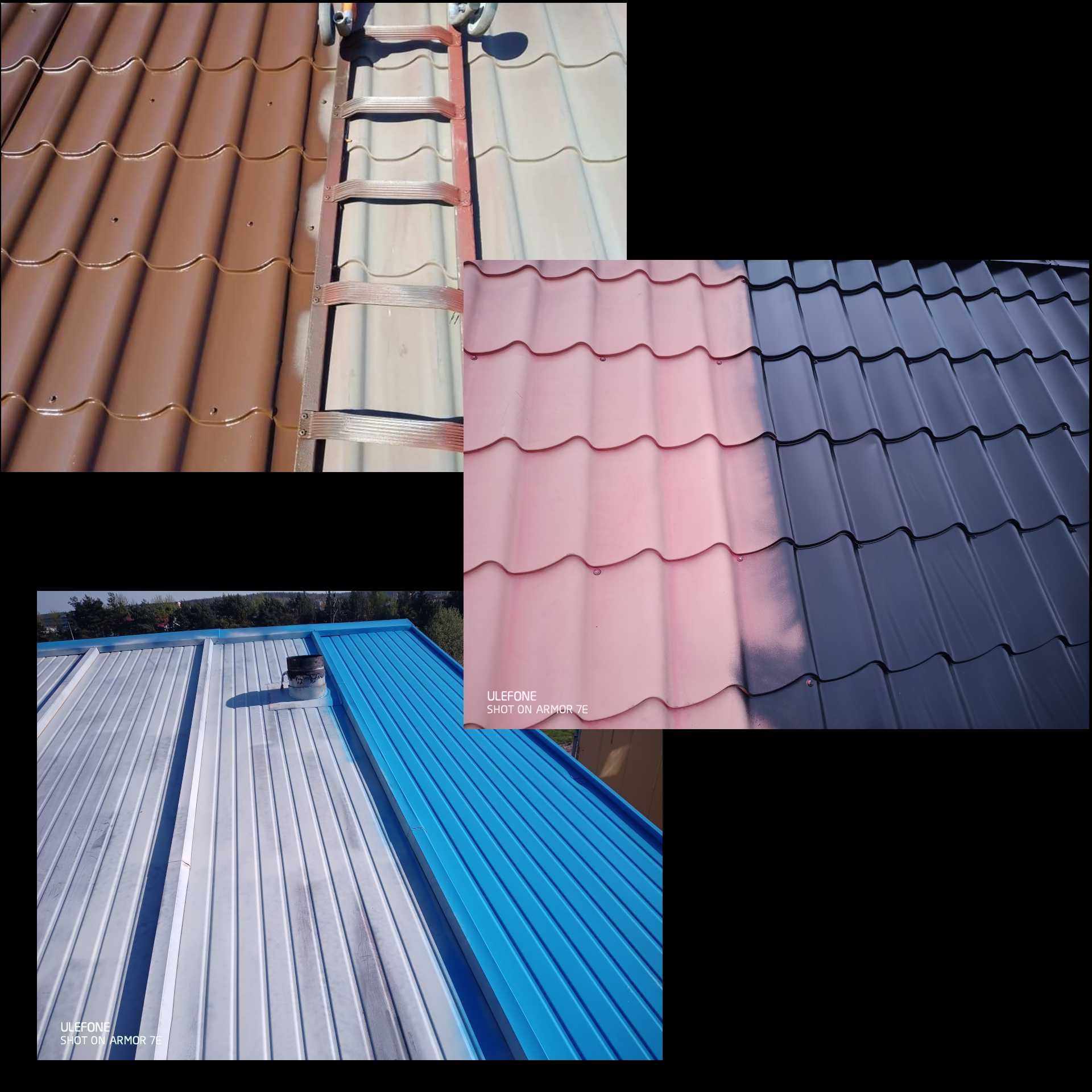 Farba Okrętowa Na Dach Rynny Kontenery Hempatex 46410 Ral 6005 5L
