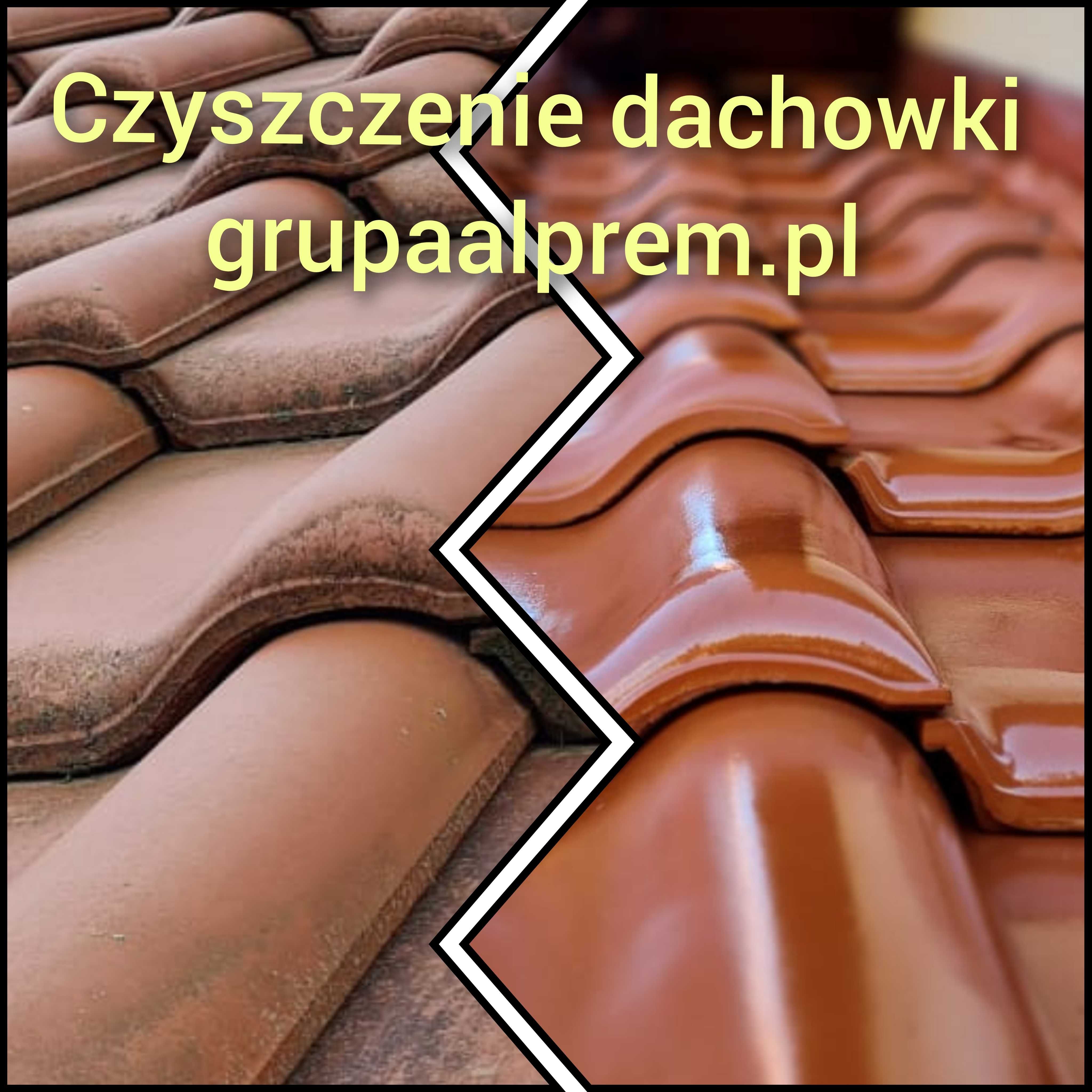 impregnacja, czyszczenie elewacji, malowanie dachów ,