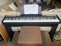 Teclado CASIO CDP-100