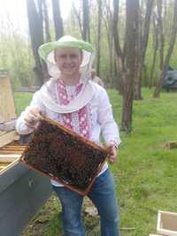 Пчелопакети, бджолопакети
