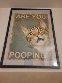 Plakat "Are you pooping"?