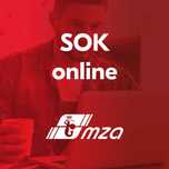 Szkolenie okresowe dla kierowców zawodowych (kod 95) ONLINE