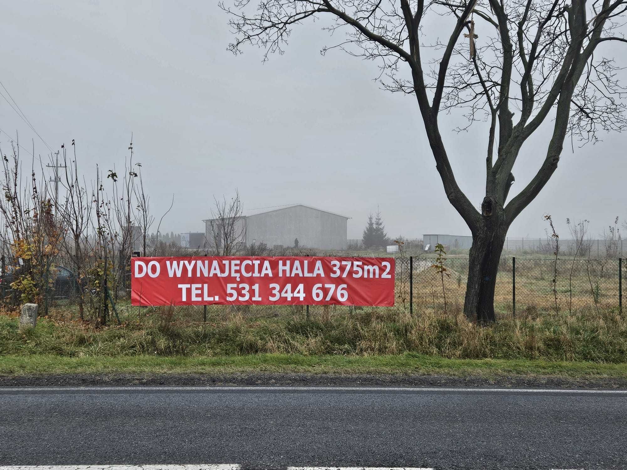 Magazyn hala do wynajęcia