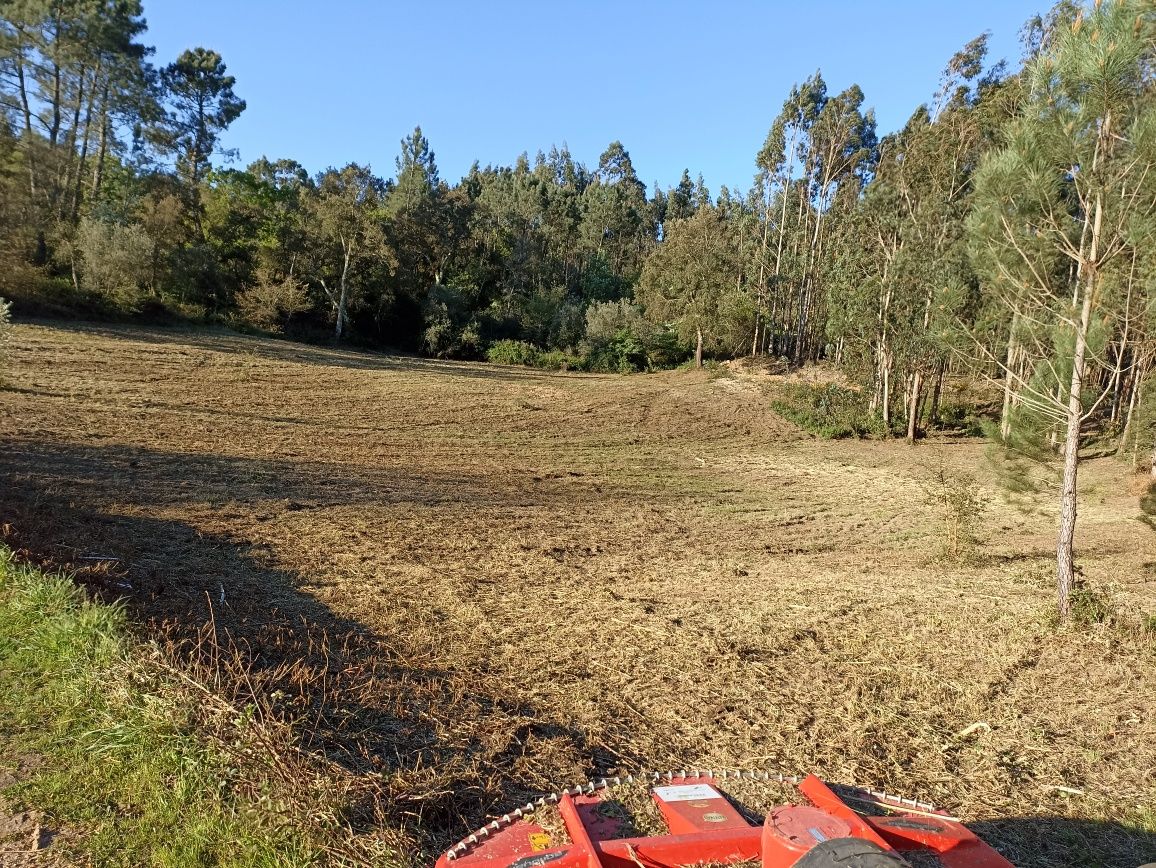 Limpeza de terrenos