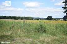 Działka budowlana 2381 m2 + usługi