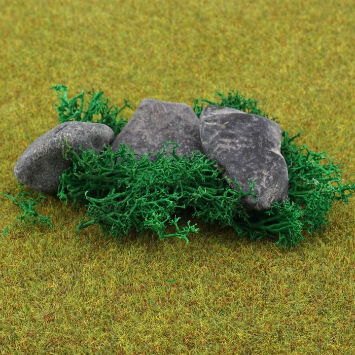 Mech chrobotek - jesienna zieleń - 0356