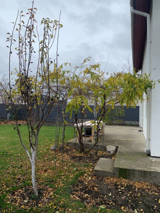 Котедж з ремонтом 120м2 с.Крушинка в 16км від Києва