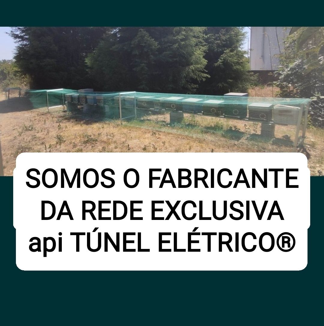 Placas Mata Vespa NOVA GERAÇÃO asiática velutina arpa elétrica