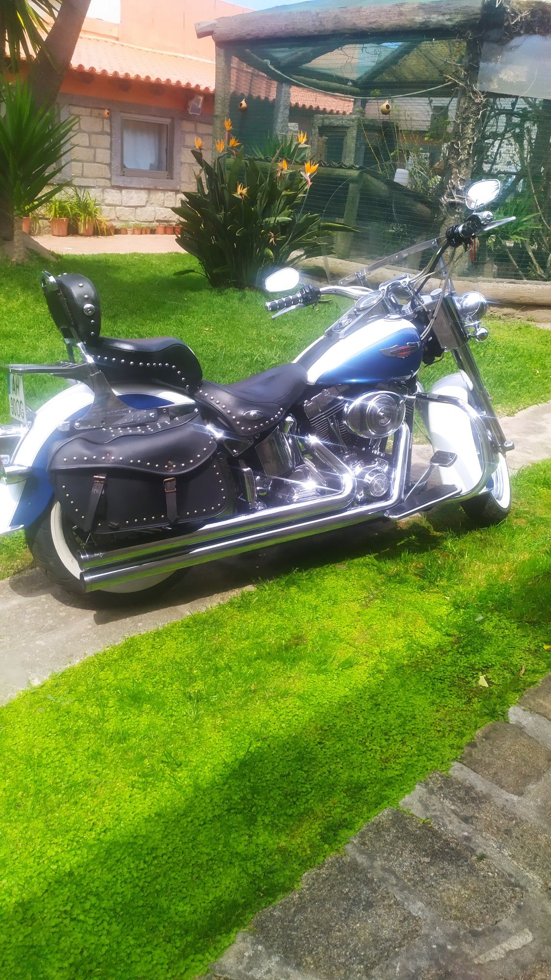 Harley Davidson softail delux