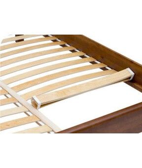 Ортопедичні ламелі