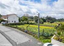Terreno Para Construção  Venda em Ferreiros, Prozelo e Besteiros,Amare
